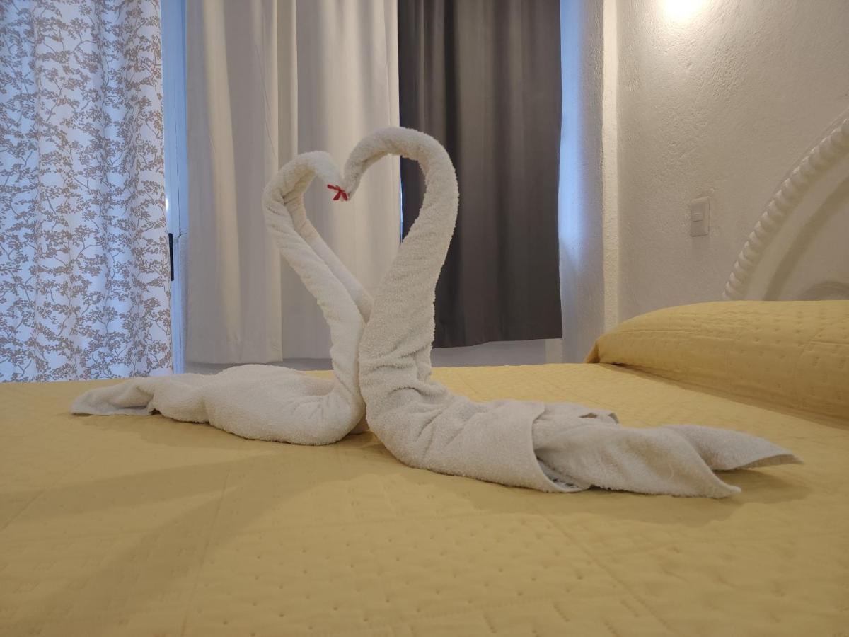 Lovely Studio Apartment With Balcony Ac & Wi-Fi, Minutes From Downtown! Zihuatanejo Eksteriør billede